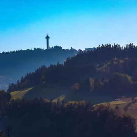 Mit Terrasse Im Skigebiet Hébergement de vacances *