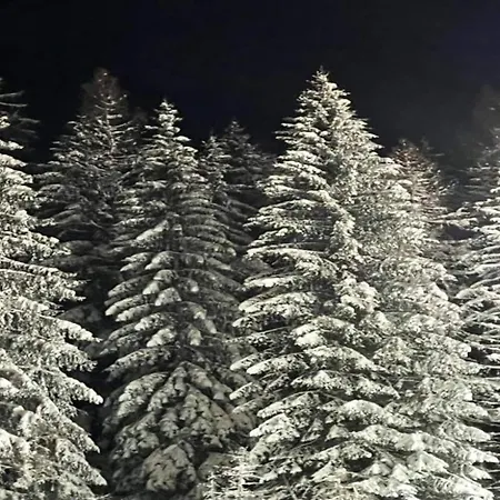 Hébergement de vacances Mit Terrasse Im Skigebiet Stryck