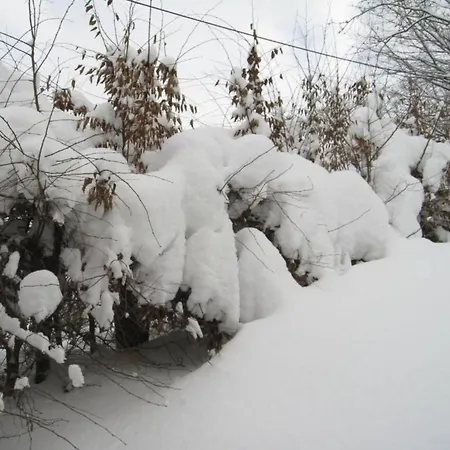 Mit Terrasse Im Skigebiet * Stryck