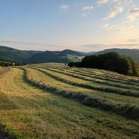 Mit Terrasse Im Skigebiet Hébergement de vacances Stryck