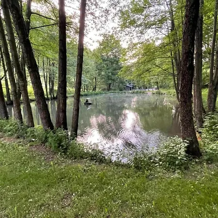 With Terrace Near The Area
