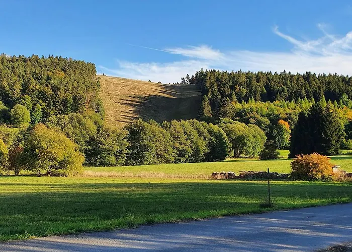Дом отдыха Mit Terrasse Im Skigebiet *
