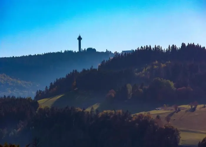 Mit Terrasse Im Skigebiet Дом отдыха *