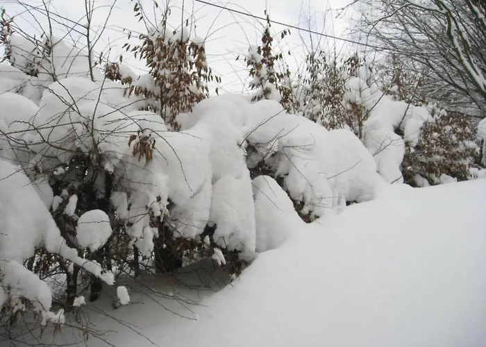 Mit Terrasse Im Skigebiet * Stryck